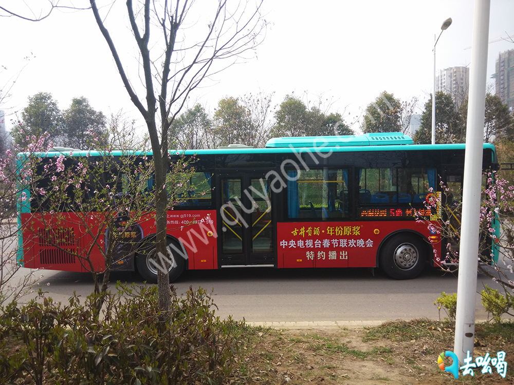 滁州公交车广告.jpg