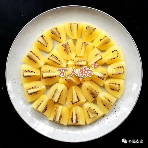 微信图片_20220727152054.jpg